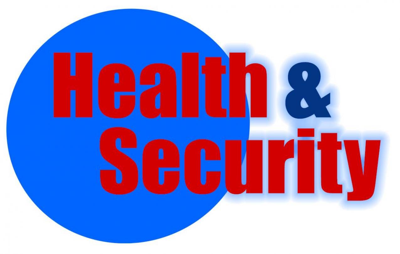 Health and Security Logo